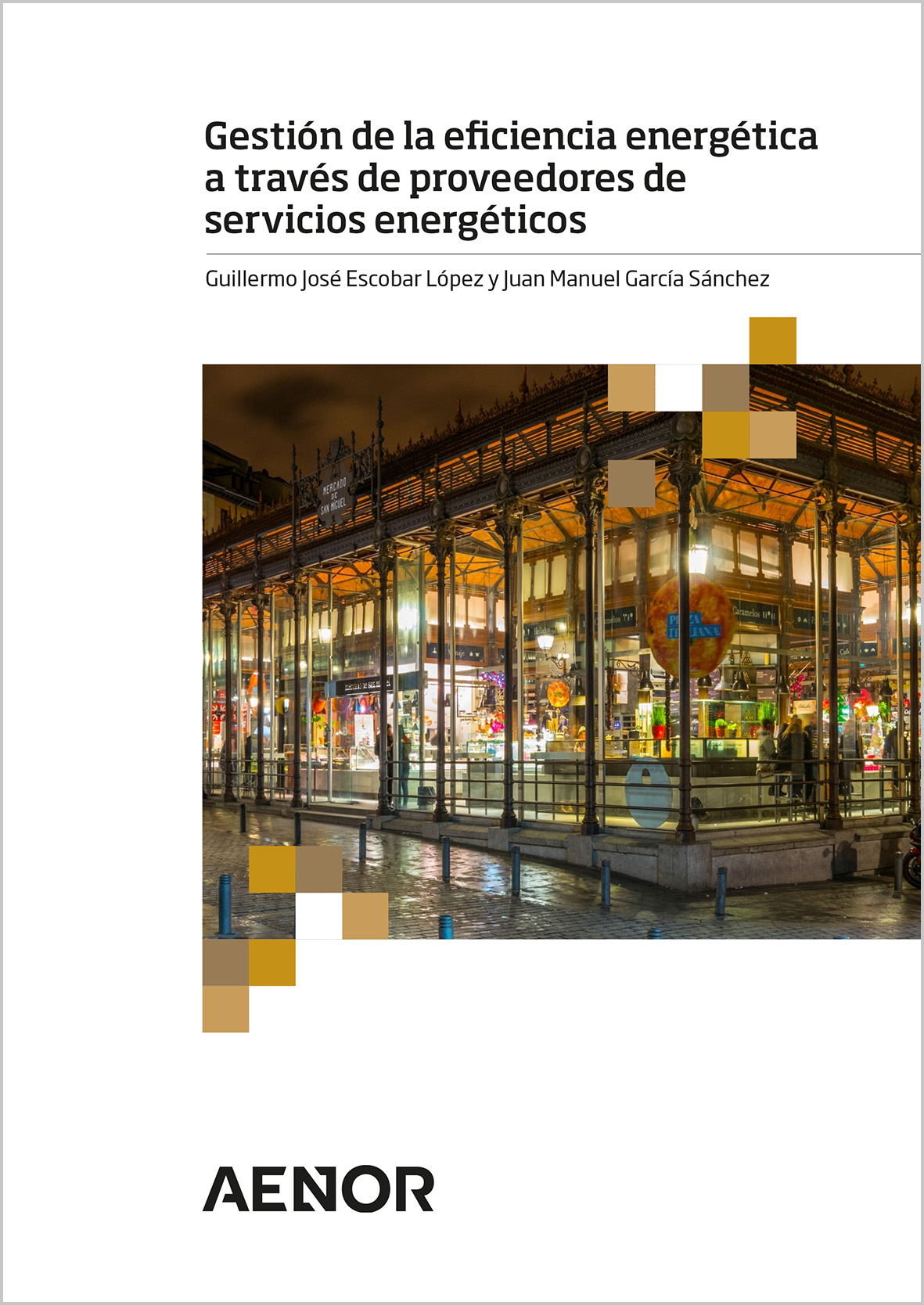 Gestión de la eficiencia energética a través de proveedores de servicios energéticos